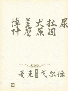 博美犬拉尿很黄什么原因