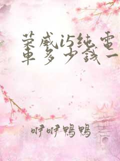 荣威i5纯电动车多少钱一辆