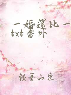 一婚还比一婚高txt番外