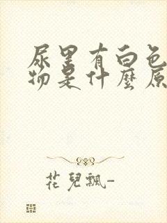 尿里有白色沉淀物是什么原因