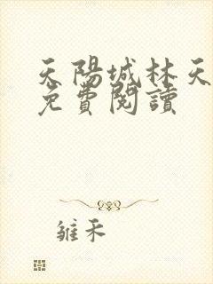 天阳城林天小说免费阅读