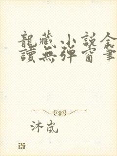 龙藏小说全文阅读无弹窗笔趣阁免费