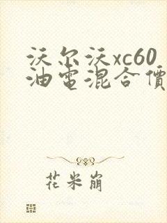 沃尔沃xc60油电混合价格及图片