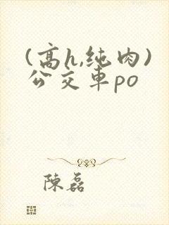 (高h,纯肉)公交车po