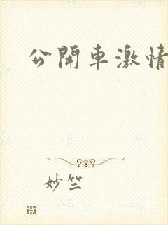 公开车激情小说