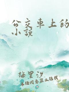 公交车上的艳情小说