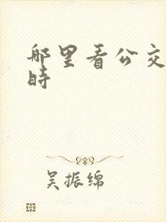 哪里看公交车实时