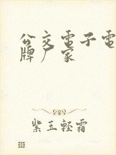 公交电子电子站牌厂家