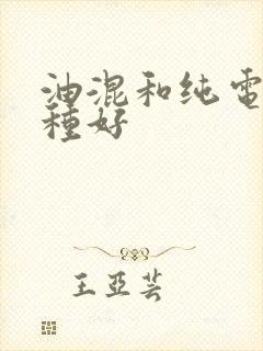油混和纯电买哪种好