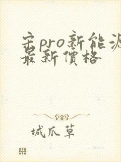 宋pro新能源最新价格