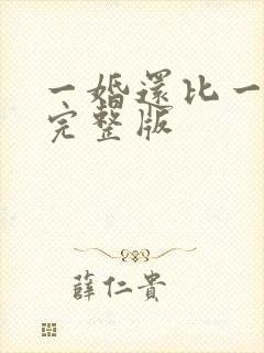 一婚还比一婚高完整版