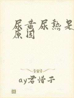 尿黄尿热是什么原因