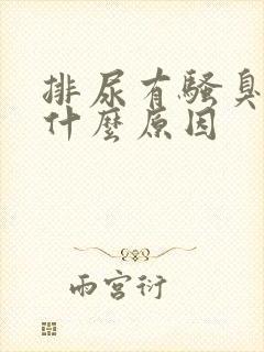 排尿有骚臭味是什么原因