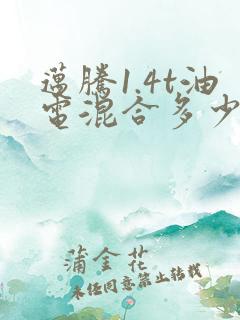 迈腾1.4t油电混合多少钱