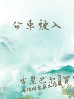 公车被入