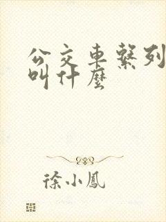公交车系列小说叫什么