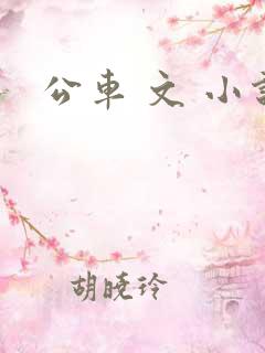 公车 文 小说