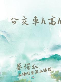 公交车h高h