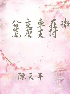 公交车在微信上怎么支付