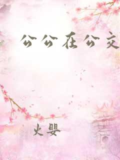 公公在公交车上