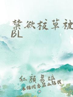 禁欲校草被C哭BL