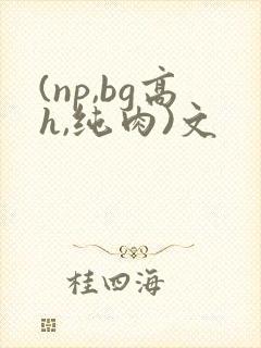 (np,bg高h,纯肉)文