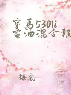 宝马530li电油混合报价