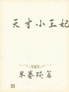 天才小王妃