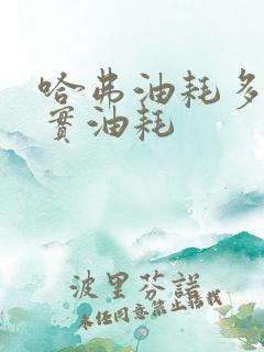 哈弗油耗多少真实油耗