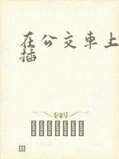 在公交车上被人插