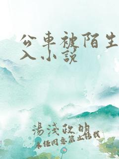 公车被陌生人进入小说