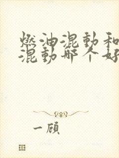 燃油混动和插电混动哪个好