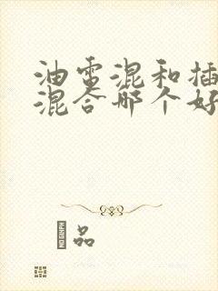 油电混和插电式混合哪个好