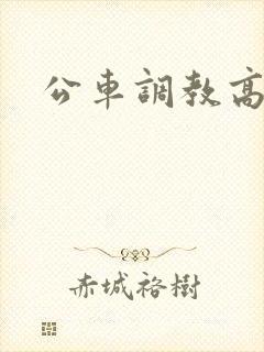 公车调教高h