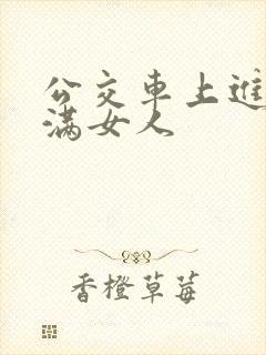 公交车上进入丰满女人