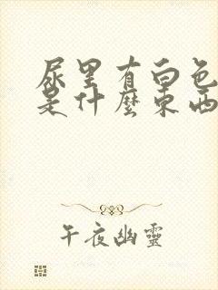 尿里有白色颗粒是什么东西