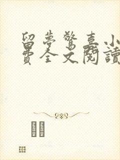留梦惊喜小说免费全文阅读