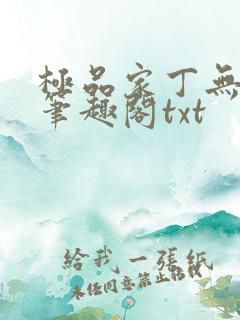 极品家丁无删节笔趣阁txt
