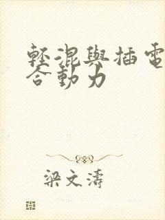 轻混与插电式混合动力