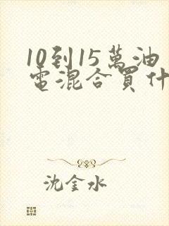 10到15万油电混合买什么车好