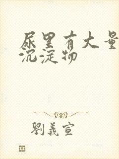 尿里有大量白色沉淀物