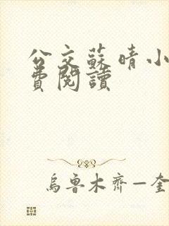 公交苏晴小说免费阅读