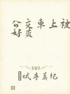 公交车上被强了好爽