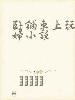 卧铺车上玩弄少妇小说