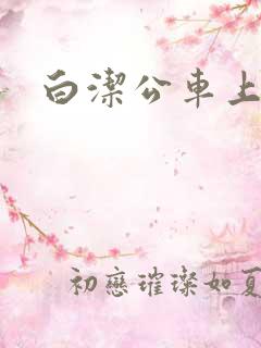 白洁公车上
