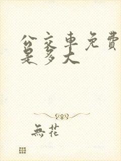 公交车免费年龄是多大
