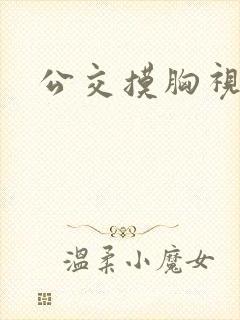 公交摸胸视频