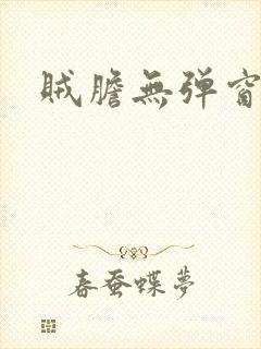 贼胆无弹窗
