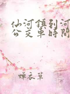 仙河镇到河口的公交车时间表