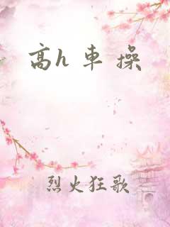 高h 车 操